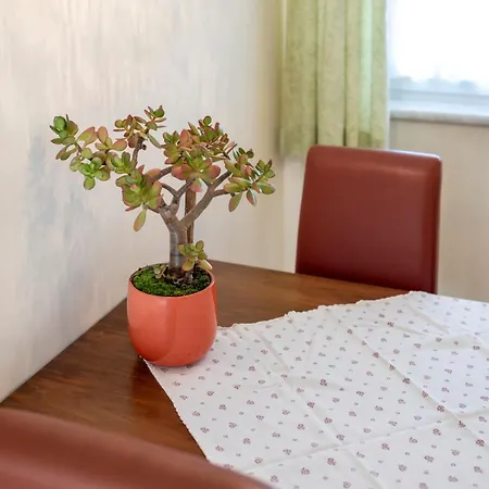 Apartament Franz Josef Strobl